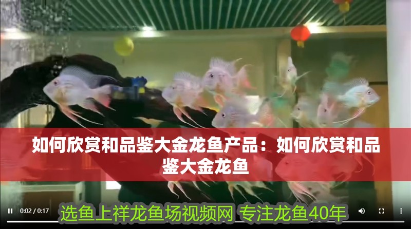 如何欣賞和品鑒大金龍魚產品：如何欣賞和品鑒大金龍魚