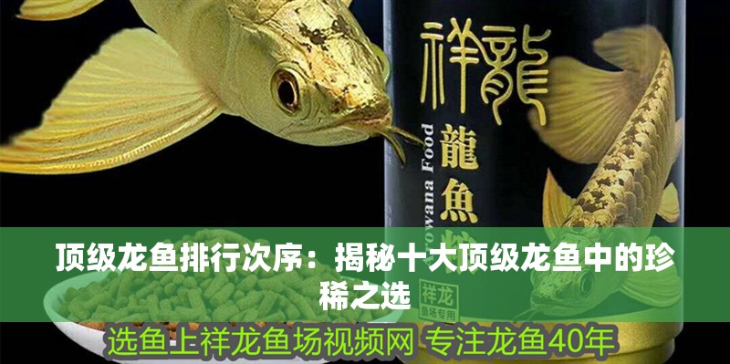 頂級龍魚排行次序：揭秘十大頂級龍魚中的珍稀之選