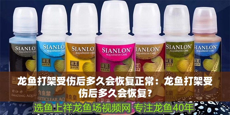 龍魚打架受傷后多久會恢復正常：龍魚打架受傷后多久會恢復？