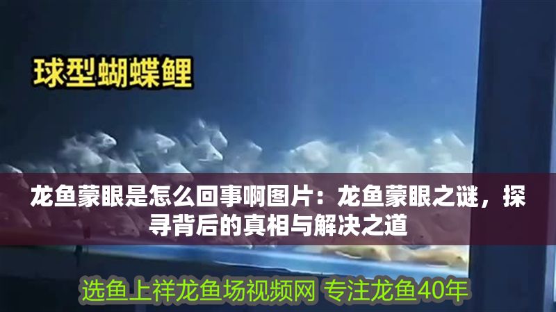 龍魚蒙眼是怎么回事啊圖片：龍魚蒙眼之謎，探尋背后的真相與解決之道