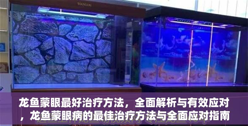 龍魚蒙眼最好治療方法，全面解析與有效應對，龍魚蒙眼病的最佳治療方法與全面應對指南