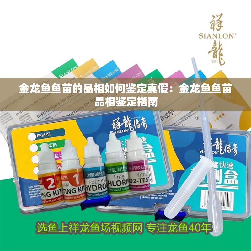 金龍魚魚苗的品相如何鑒定真假：金龍魚魚苗品相鑒定指南