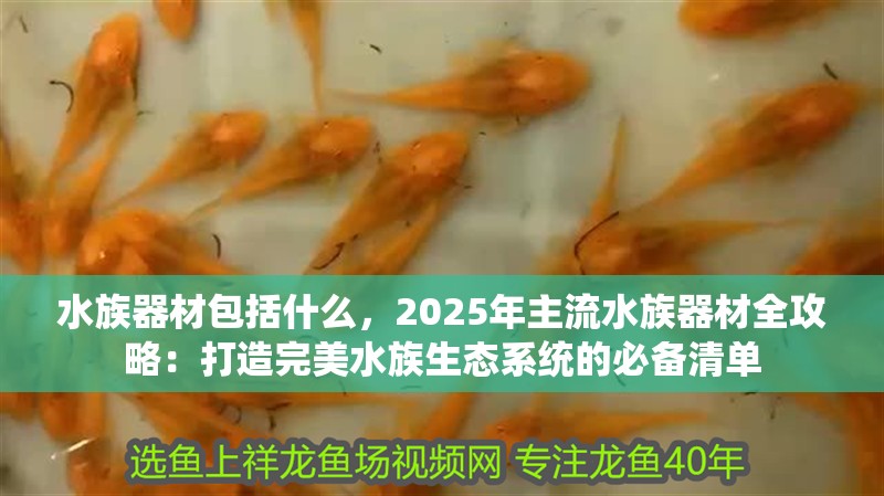 水族器材包括什么，2025年主流水族器材全攻略：打造完美水族生態(tài)系統(tǒng)的必備清單