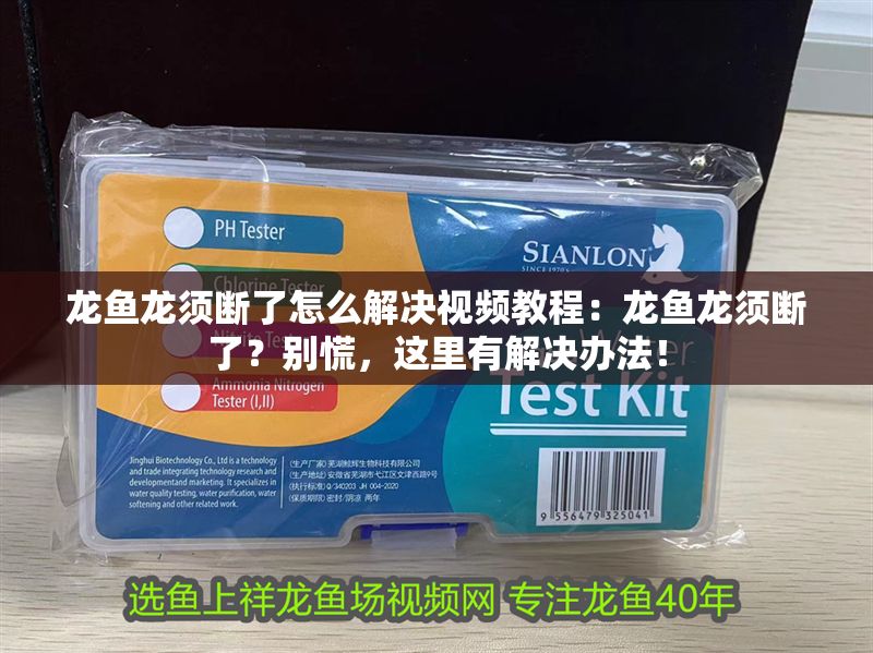 龍魚龍須斷了怎么解決視頻教程：龍魚龍須斷了？別慌，這里有解決辦法！