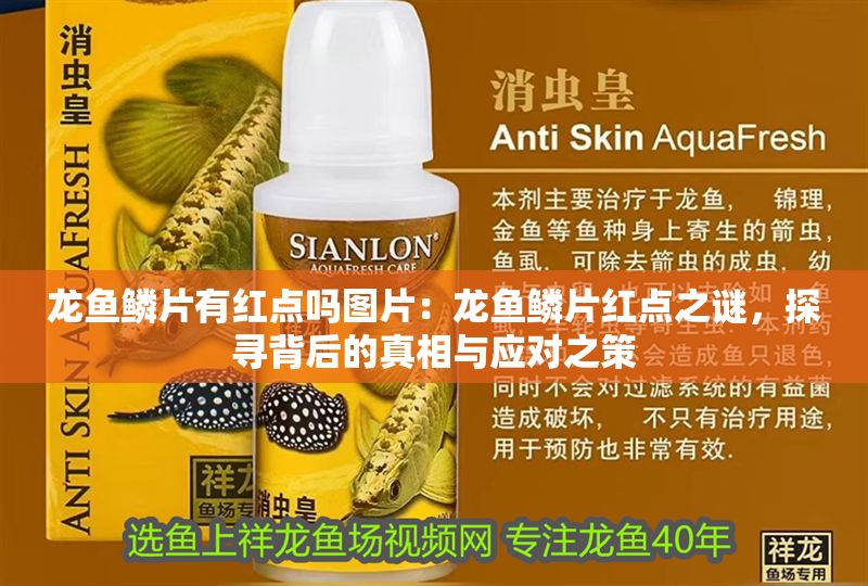 龍魚鱗片有紅點嗎圖片：龍魚鱗片紅點之謎，探尋背后的真相與應對之策