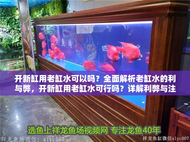 開新缸用老缸水可以嗎？全面解析老缸水的利與弊，開新缸用老缸水可行嗎？詳解利弊與注意事項(xiàng)