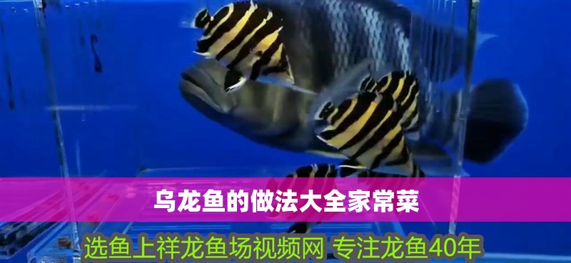 烏龍魚的做法大全家常菜