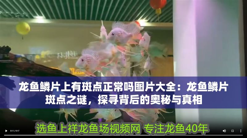 龍魚鱗片上有斑點正常嗎圖片大全：龍魚鱗片斑點之謎，探尋背后的奧秘與真相