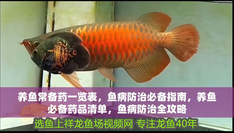 養(yǎng)魚常備藥一覽表，魚病防治必備指南，養(yǎng)魚必備藥品清單，魚病防治全攻略
