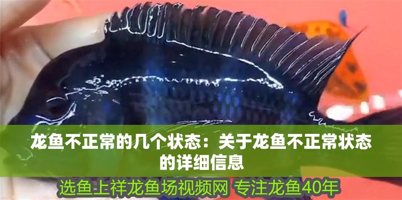 龍魚不正常的幾個狀態：關于龍魚不正常狀態的詳細信息