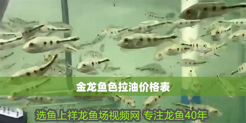 金龍魚色拉油價格表