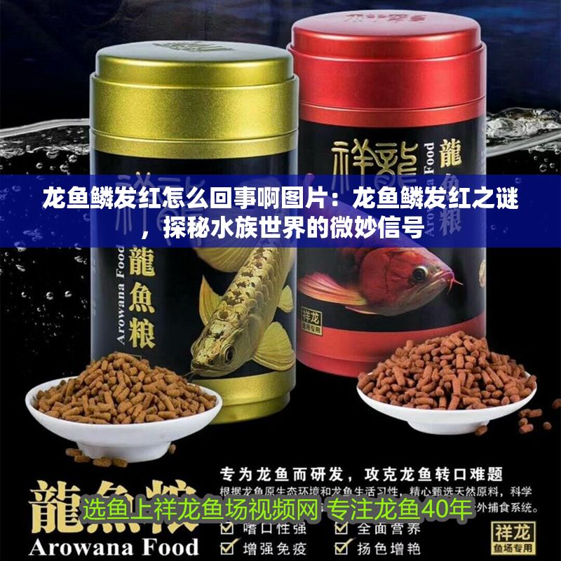 龍魚鱗發(fā)紅怎么回事啊圖片：龍魚鱗發(fā)紅之謎，探秘水族世界的微妙信號(hào)