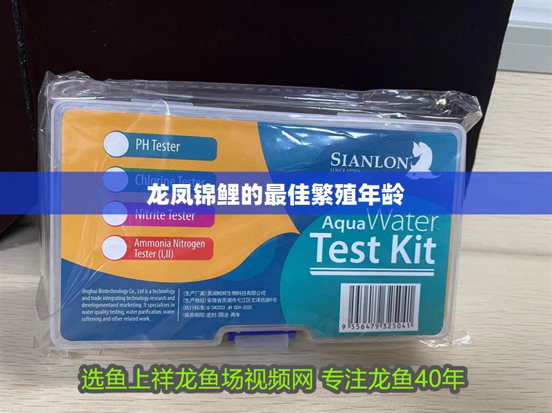 龍鳳錦鯉的最佳繁殖年齡