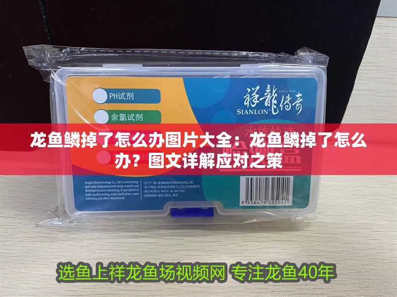 龍魚鱗掉了怎么辦圖片大全：龍魚鱗掉了怎么辦？圖文詳解應(yīng)對之策