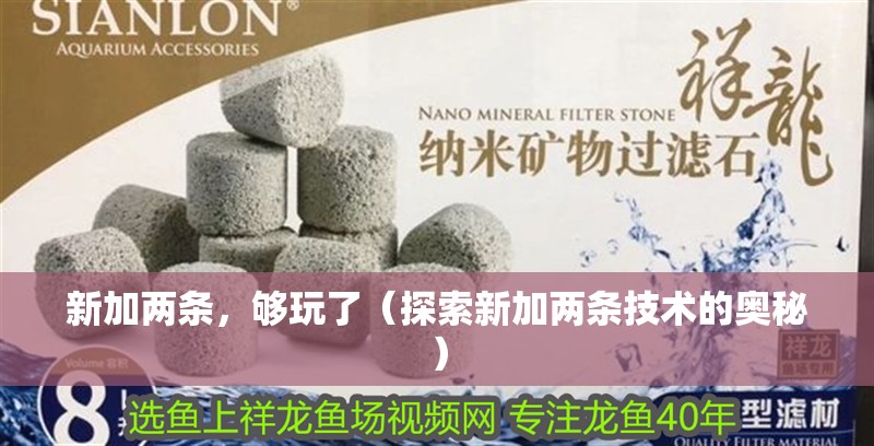 新加兩條，夠玩了（探索新加兩條技術的奧秘）