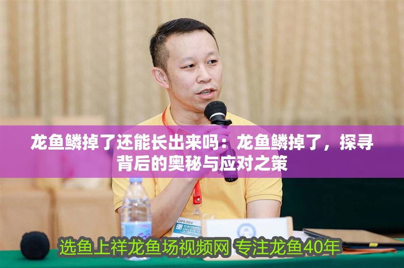 龍魚鱗掉了還能長出來嗎：龍魚鱗掉了，探尋背后的奧秘與應(yīng)對之策