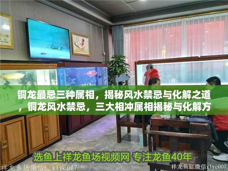 銅龍最忌三種屬相，揭秘風水禁忌與化解之道，銅龍風水禁忌，三大相沖屬相揭秘與化解方法