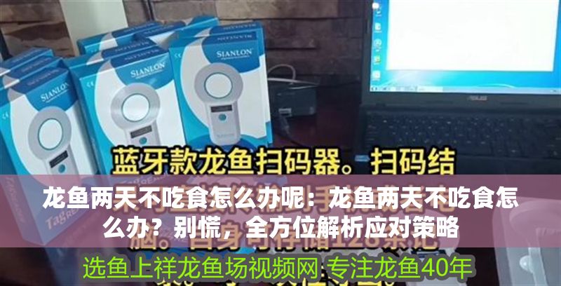 龍魚兩天不吃食怎么辦呢：龍魚兩天不吃食怎么辦？別慌，全方位解析應對策略