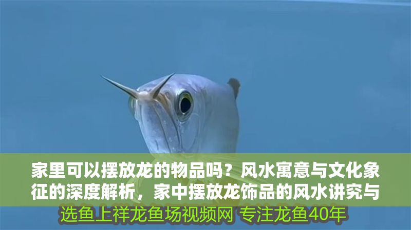 家里可以擺放龍的物品嗎？風水寓意與文化象征的深度解析，家中擺放龍飾品的風水講究與文化寓意全解析