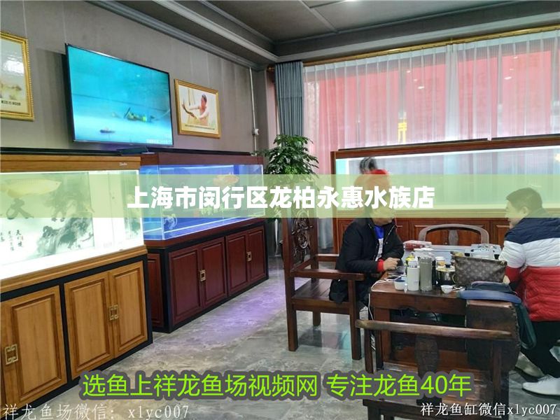 上海市閔行區(qū)龍柏永惠水族店