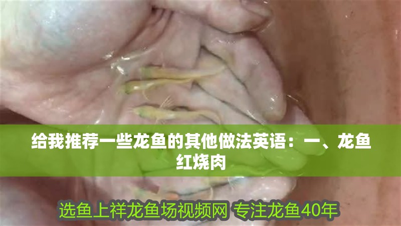 給我推薦一些龍魚的其他做法英語：一、龍魚紅燒肉 給我推薦一些龍魚的其他做法英語：一、龍魚紅燒肉 水族問答