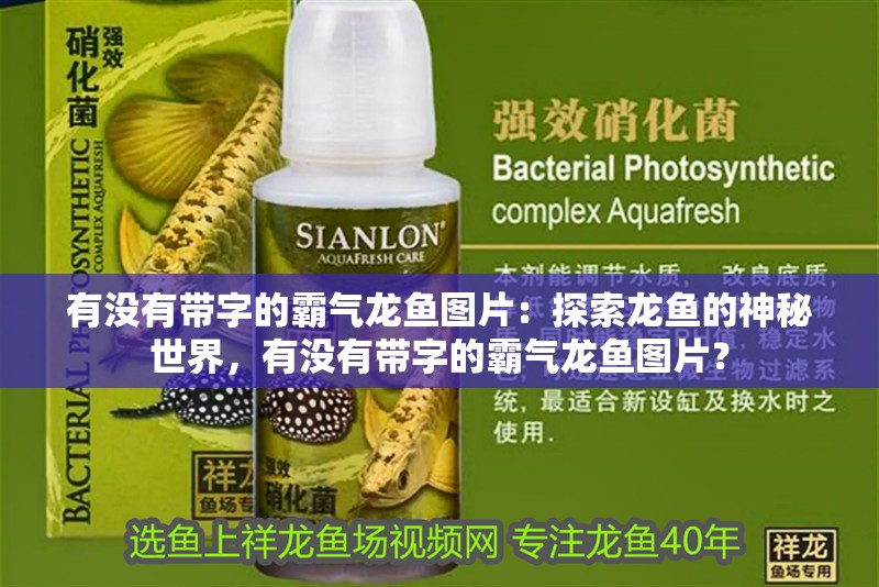 有沒有帶字的霸氣龍魚圖片：探索龍魚的神秘世界，有沒有帶字的霸氣龍魚圖片？