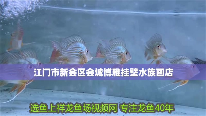 江門市新會(huì)區(qū)會(huì)城博雅掛壁水族畫店