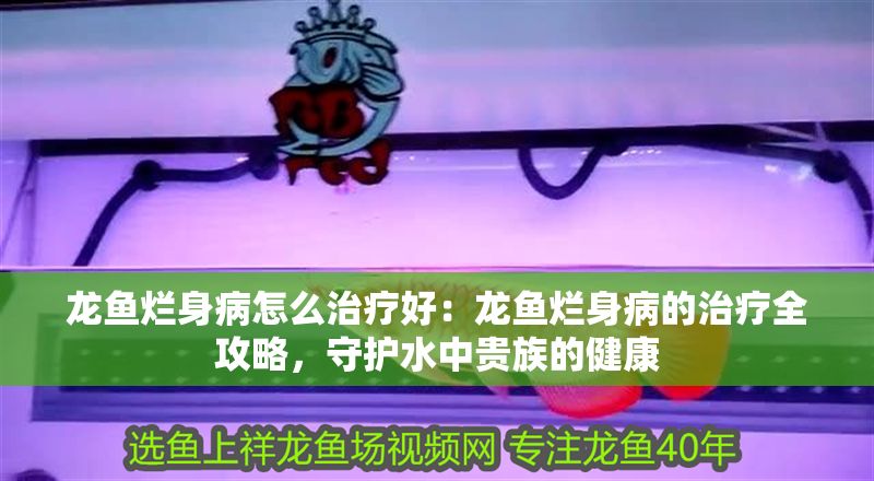 龍魚爛身病怎么治療好：龍魚爛身病的治療全攻略，守護水中貴族的健康