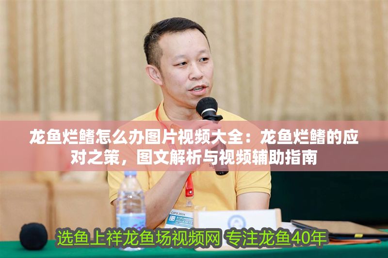 龍魚爛鰭怎么辦圖片視頻大全：龍魚爛鰭的應(yīng)對之策，圖文解析與視頻輔助指南