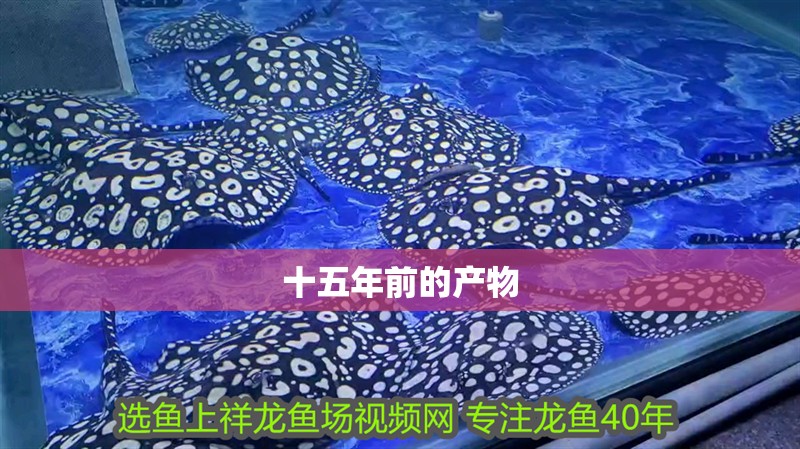 十五年前的產物