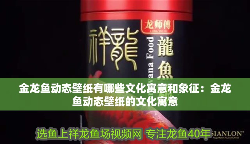 金龍魚動態壁紙有哪些文化寓意和象征：金龍魚動態壁紙的文化寓意