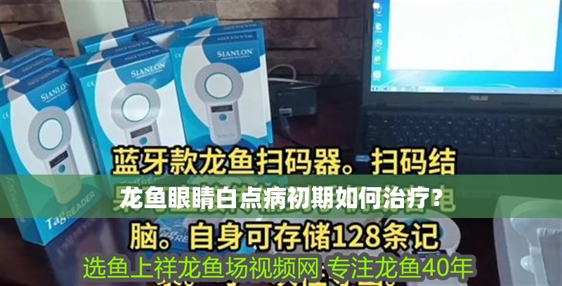 龍魚眼睛白點病初期如何治療？