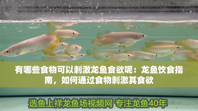 有哪些食物可以刺激龍魚食欲呢：龍魚飲食指南，如何通過食物刺激其食欲
