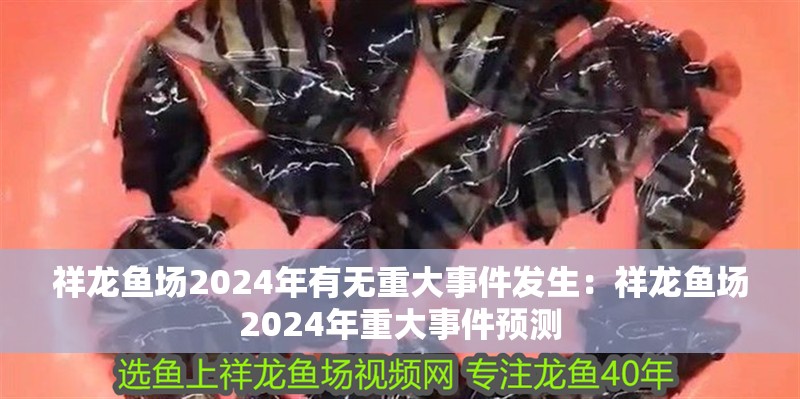 祥龍魚場2024年有無重大事件發生：祥龍魚場2024年重大事件預測