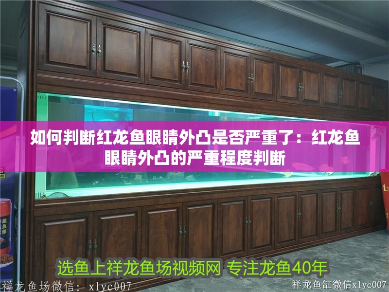 如何判斷紅龍魚眼睛外凸是否嚴重了：紅龍魚眼睛外凸的嚴重程度判斷
