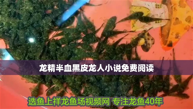 龍精半血黑皮龍人小說免費閱讀