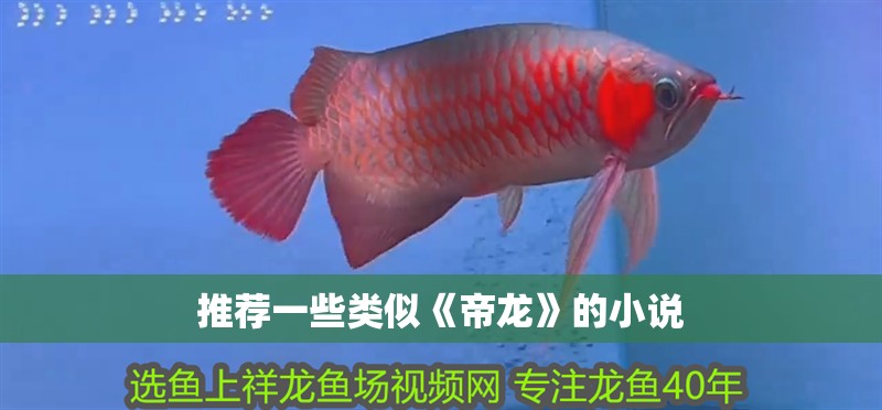 推薦一些類似《帝龍》的小說