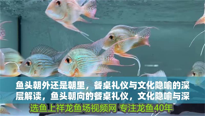 魚頭朝外還是朝里，餐桌禮儀與文化隱喻的深層解讀，魚頭朝向的餐桌禮儀，文化隱喻與深層意涵解析 魚頭朝外還是朝里，餐桌禮儀與文化隱喻的深層解讀，魚頭朝向的餐桌禮儀，文化隱喻與深層意涵解析 龍魚百科 第1張