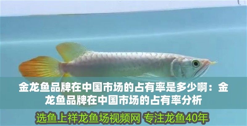 魚缸過濾器選購指南:自制魚缸過濾器魚缸上置過濾器對于養(yǎng)魚愛好者的必備知識 金龍魚品牌在中國市場的占有率是多少啊:金龍魚品牌在中國市場的占有率分析 水族問答 金龍魚品牌在中國市場的占有率是多少啊:金龍魚品牌在中國市場的占有率分析 金龍魚品牌在中國市場的占有率是多少啊:金龍魚品牌在中國市場的占有率分析 水族問答