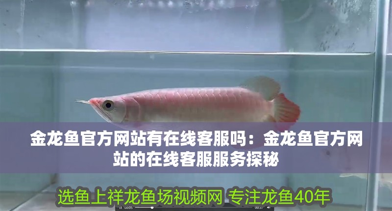 金龍魚官方網站有在線客服嗎：金龍魚官方網站的在線客服服務探秘