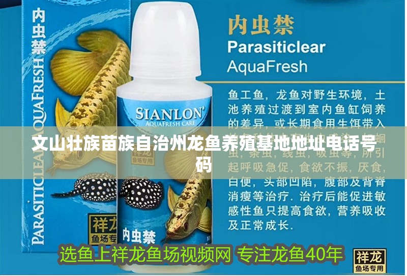 文山壯族苗族自治州龍魚養(yǎng)殖基地地址電話號碼