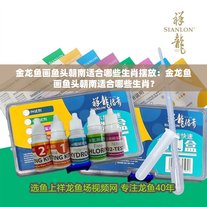 金龍魚畫魚頭朝南適合哪些生肖擺放：金龍魚畫魚頭朝南適合哪些生肖？