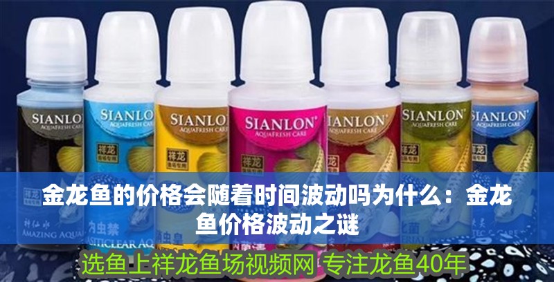 金龍魚的價格會隨著時間波動嗎為什么：金龍魚價格波動之謎