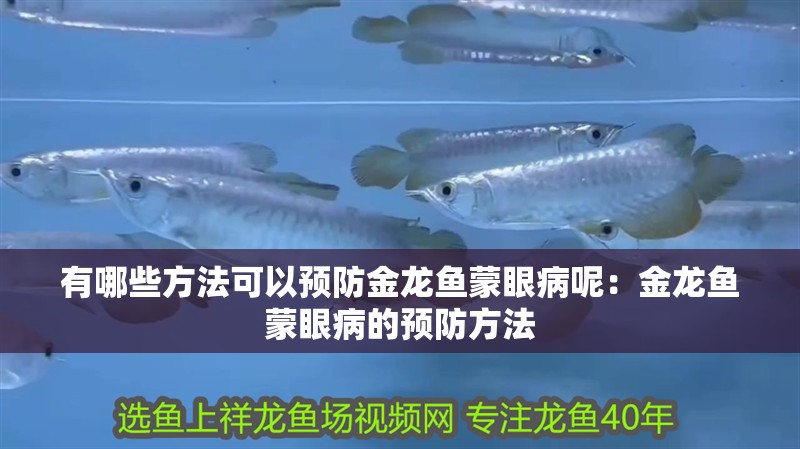 有哪些方法可以預(yù)防金龍魚蒙眼病呢：金龍魚蒙眼病的預(yù)防方法