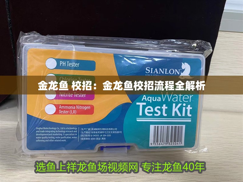 金龍魚 校招：金龍魚校招流程全解析