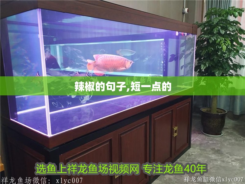 辣椒的句子,短一點的