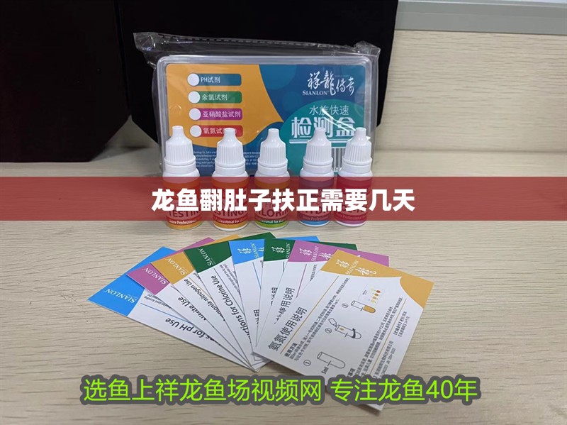 龍魚(yú)翻肚子扶正需要幾天