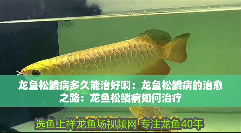 龍魚松鱗病多久能治好啊：龍魚松鱗病的治愈之路：龍魚松鱗病如何治療