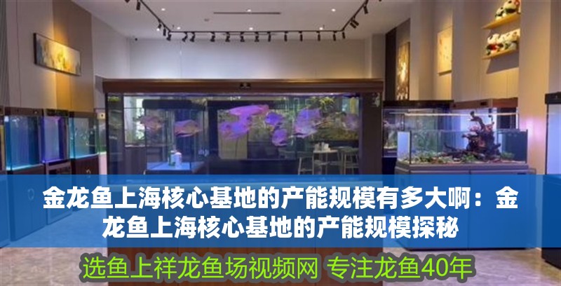 金龍魚(yú)上海核心基地的產(chǎn)能規(guī)模有多大啊：金龍魚(yú)上海核心基地的產(chǎn)能規(guī)模探秘