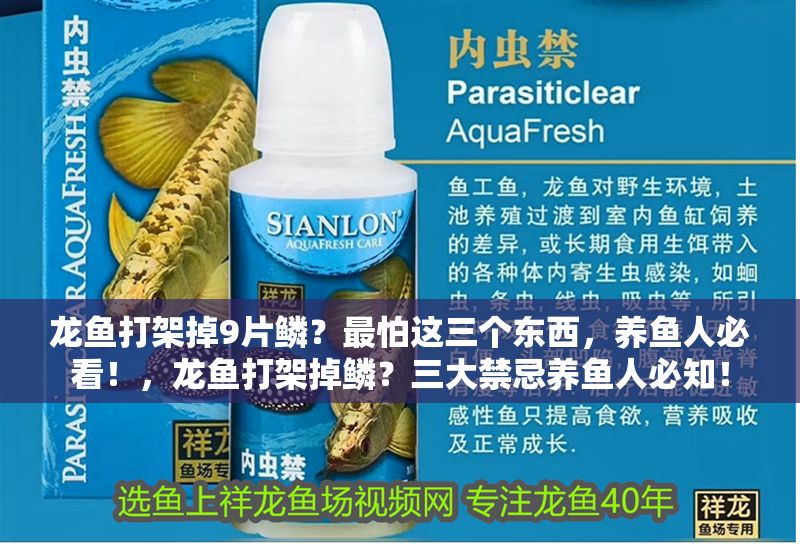 龍魚打架掉9片鱗？最怕這三個(gè)東西，養(yǎng)魚人必看！，龍魚打架掉鱗？三大禁忌養(yǎng)魚人必知！